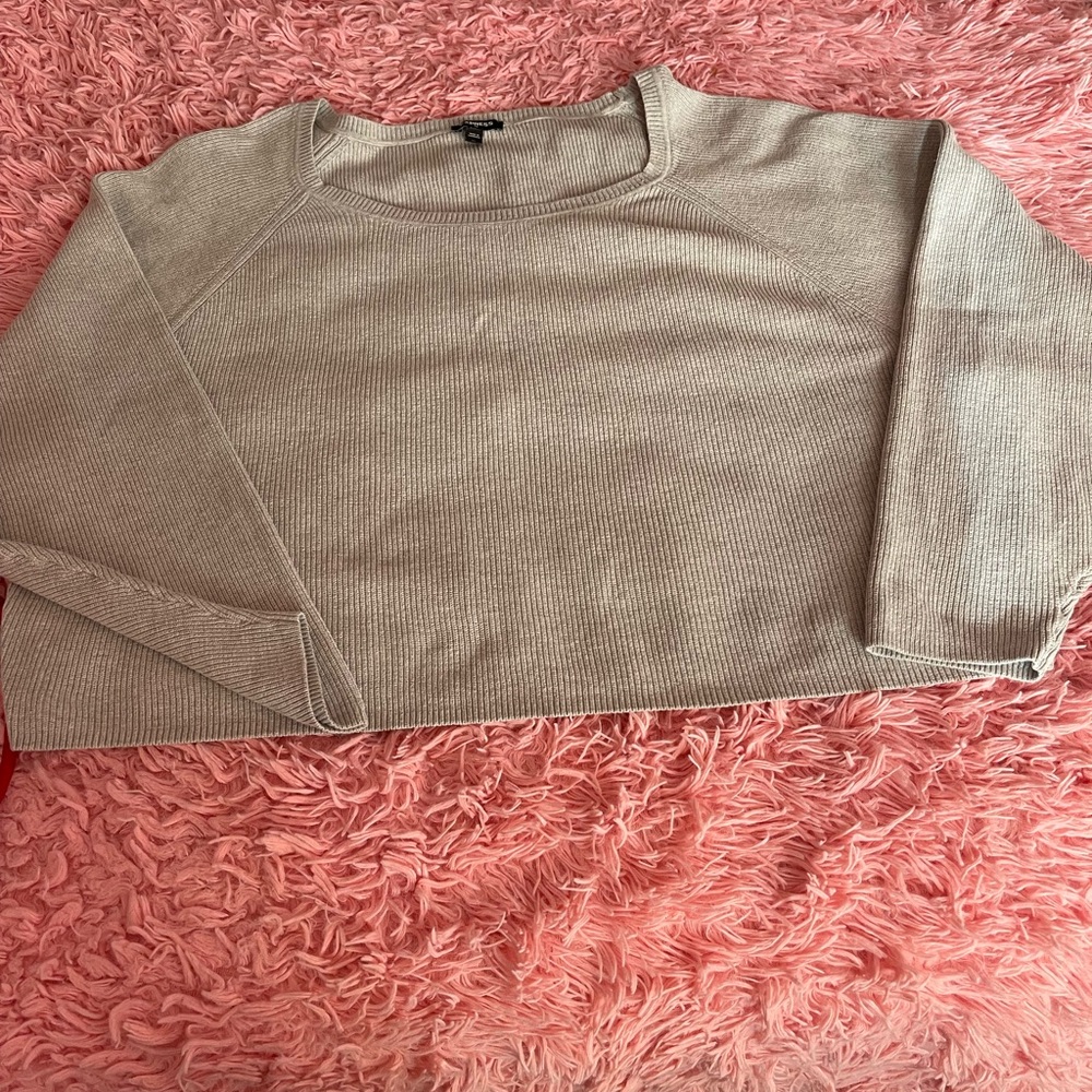 Express Women's Beige Crew Neck Sweater